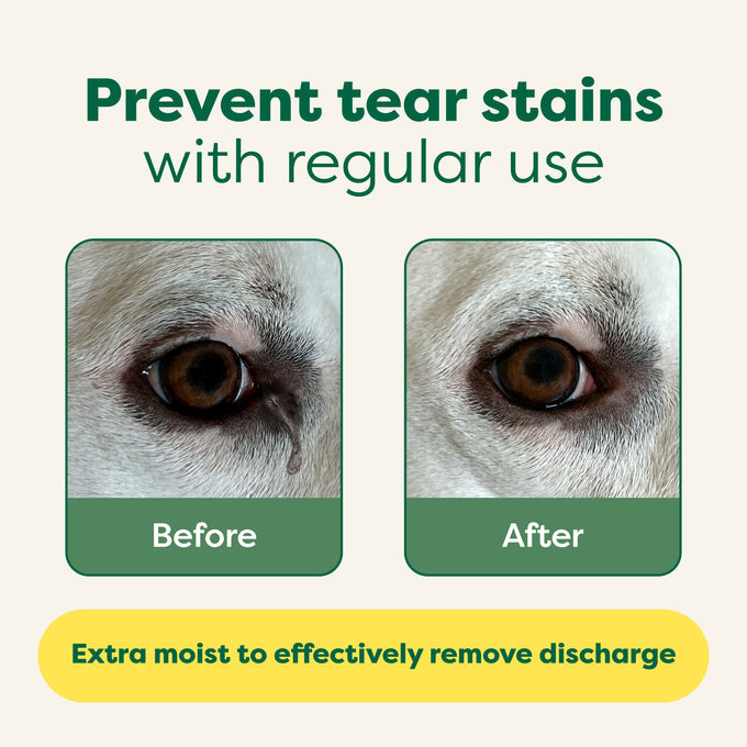 Earth Rated Eye Wipes 60pk