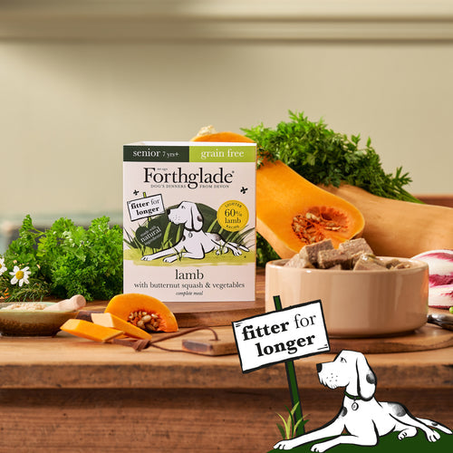 Forthglade Grain Free Lamb, Butternut Squash & Vegetables Complete Senior Wet Dog Food 395g