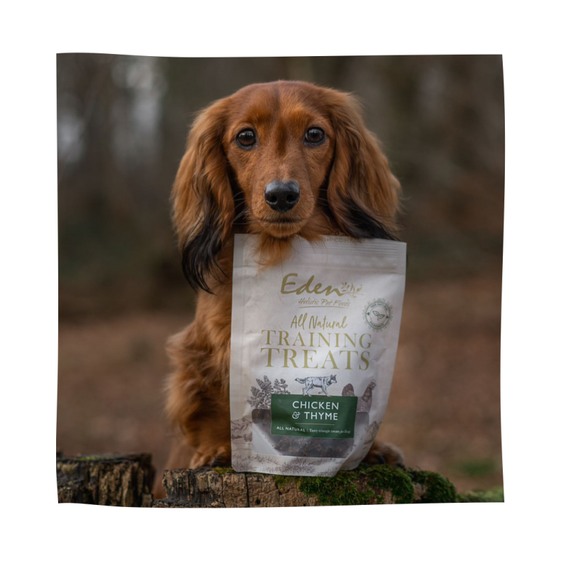Eden Chicken & Thyme Training Treats 80g