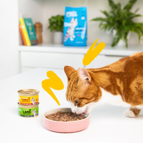 Edgard & Cooper Cat Chunks Turkey & Chicken 85g