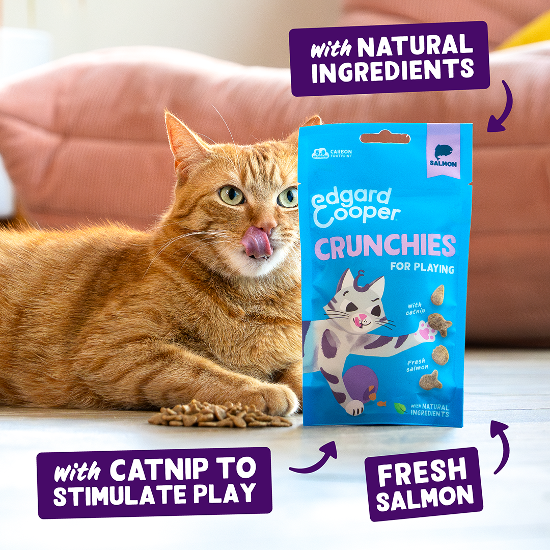 Edgard & Cooper Cat Crunchies Salmon Flavour 50g
