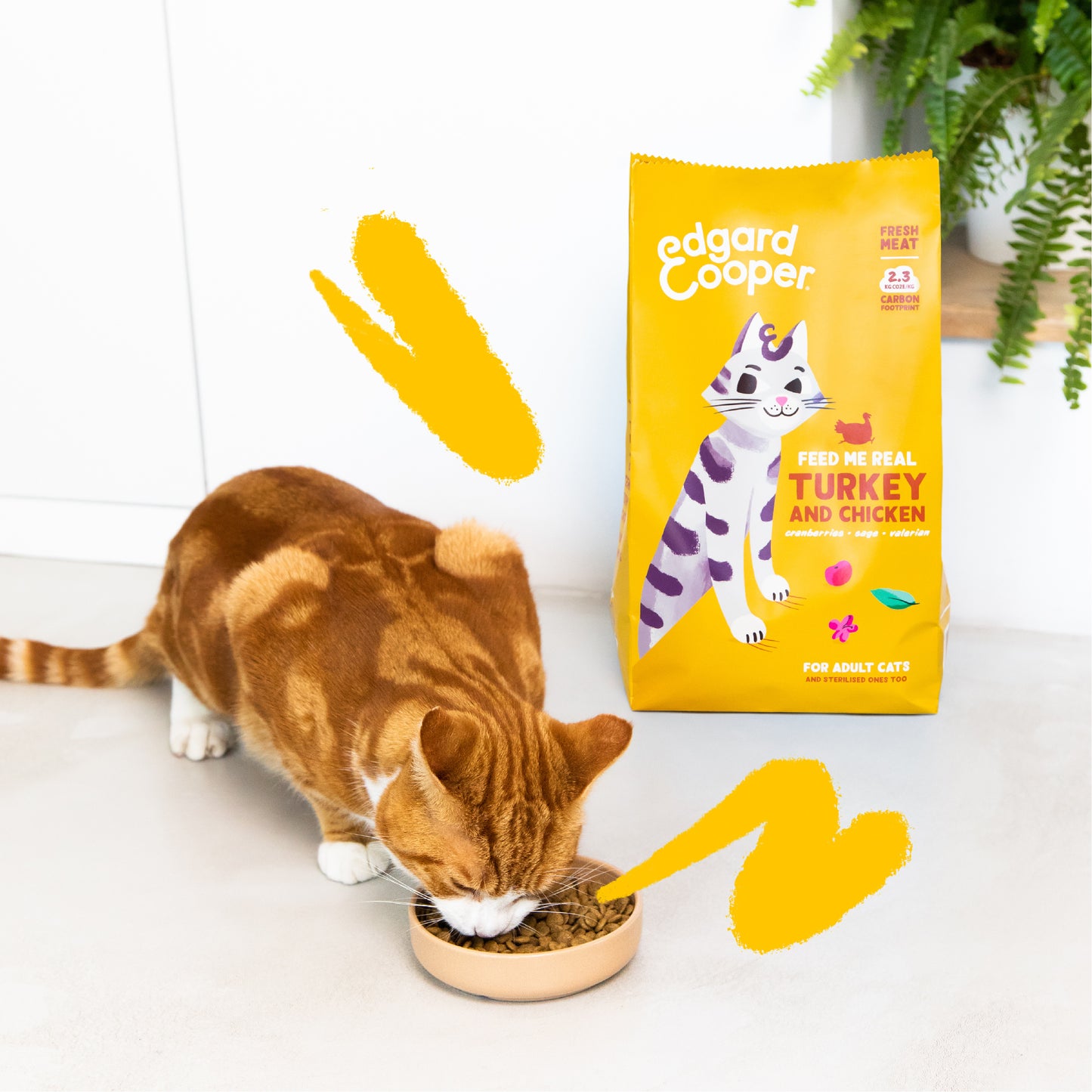Edgard & Cooper Cat Kibble Turkey/Chicken