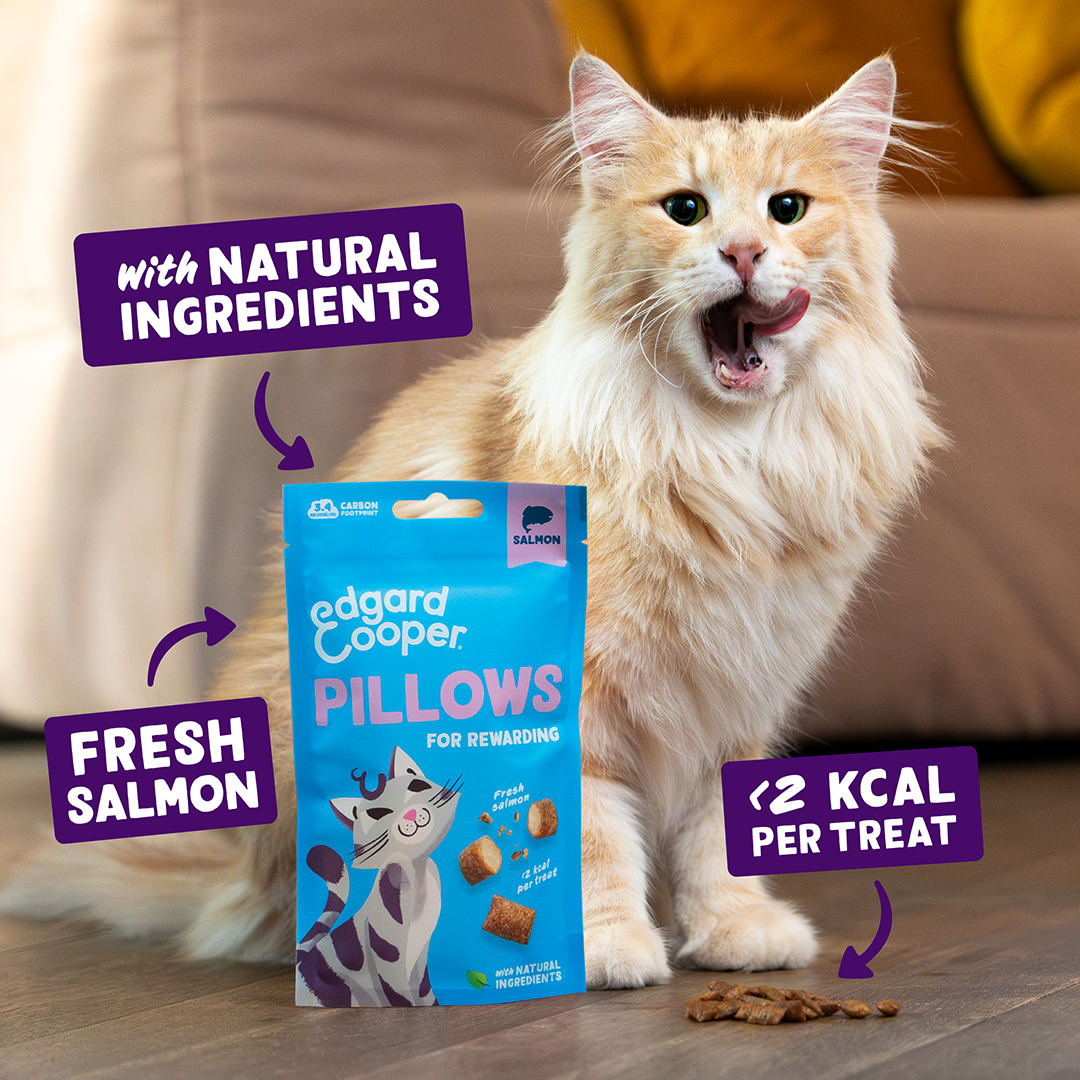 Edgard & Cooper Cat Pillows Salmon Flavour 60g