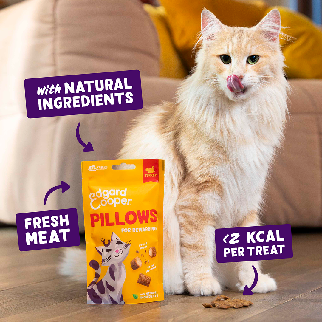Edgard & Cooper Cat Pillows Turkey Flavour 60g