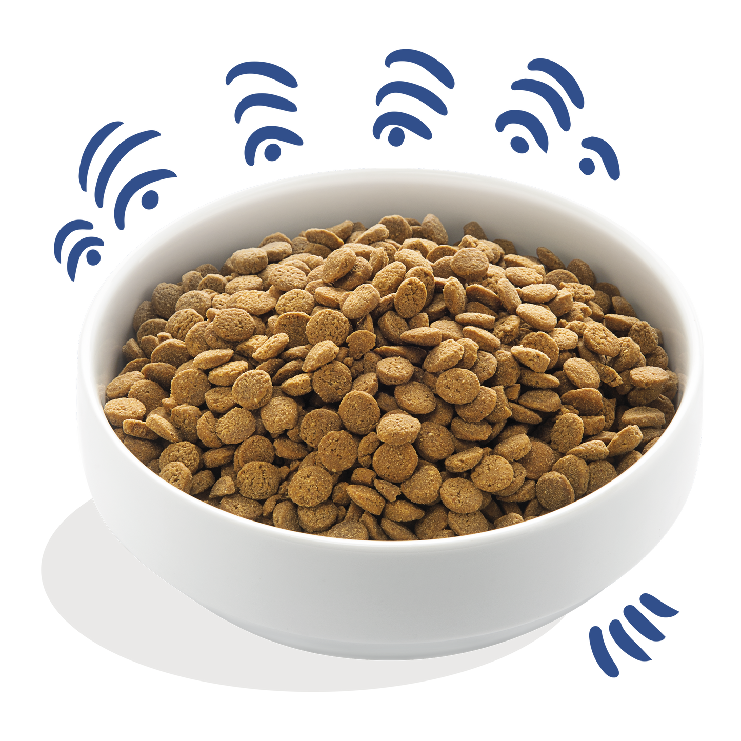 Edgard & Cooper Dry food for Dogs in Salmon