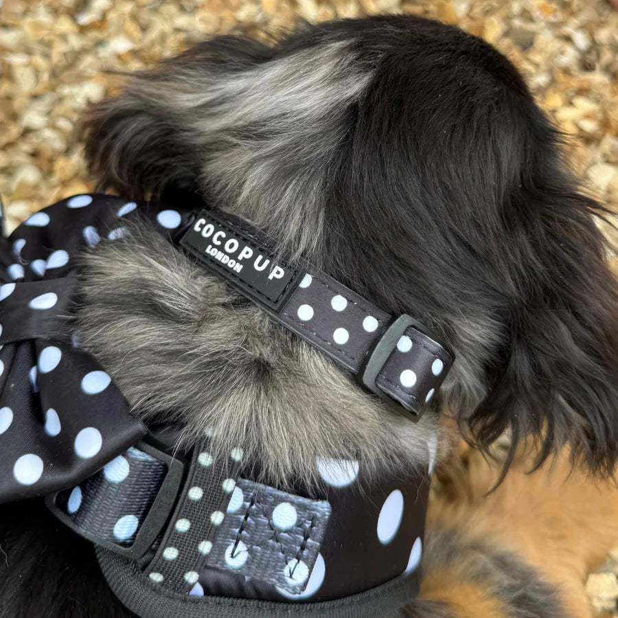 Satin Polka Dot Collar