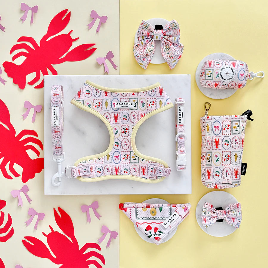 Dolce Vita Adjustable Neck Harness