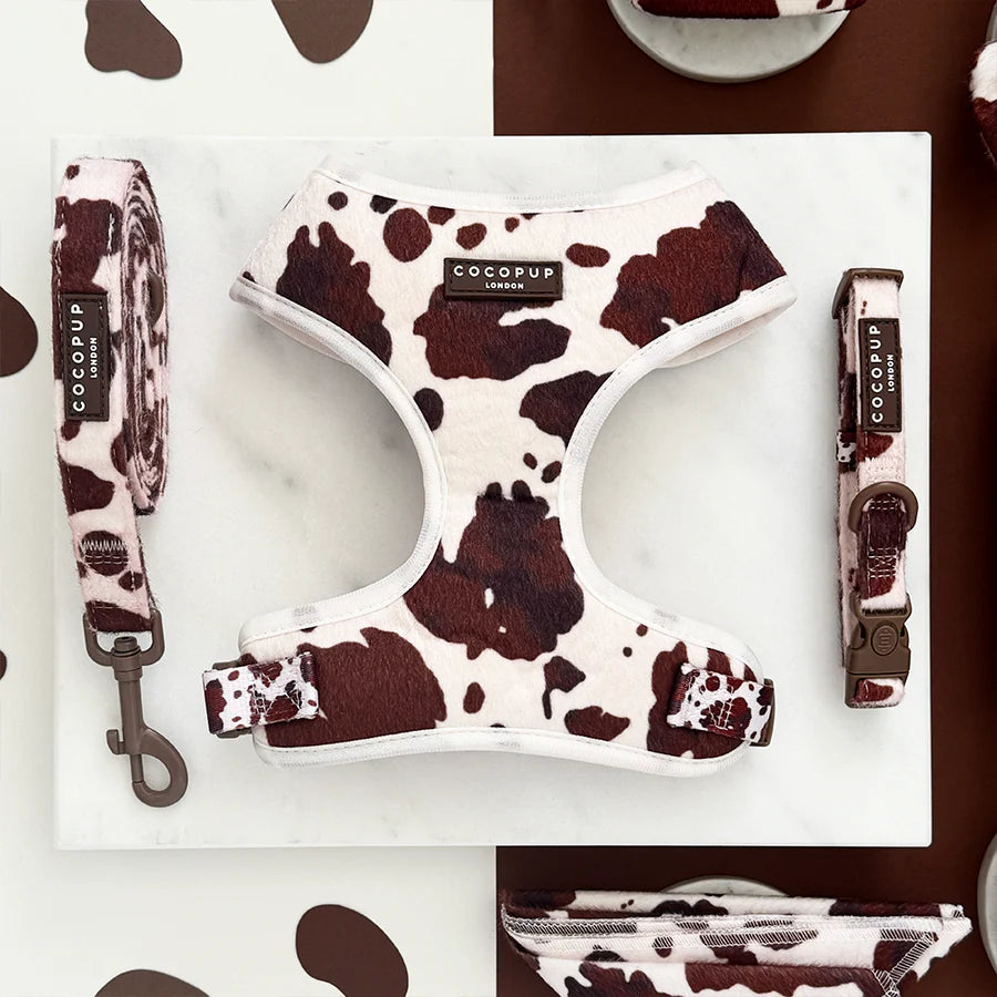 Rodeo Pup Adjustable Neck Harness