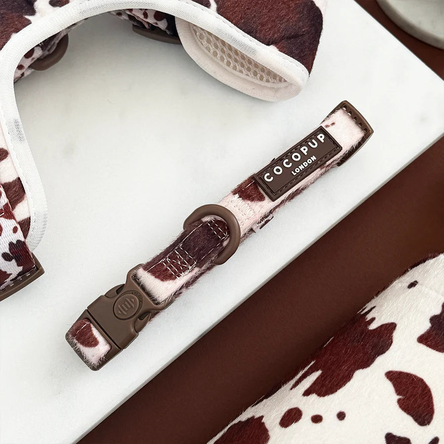 Rodeo Pup Collar