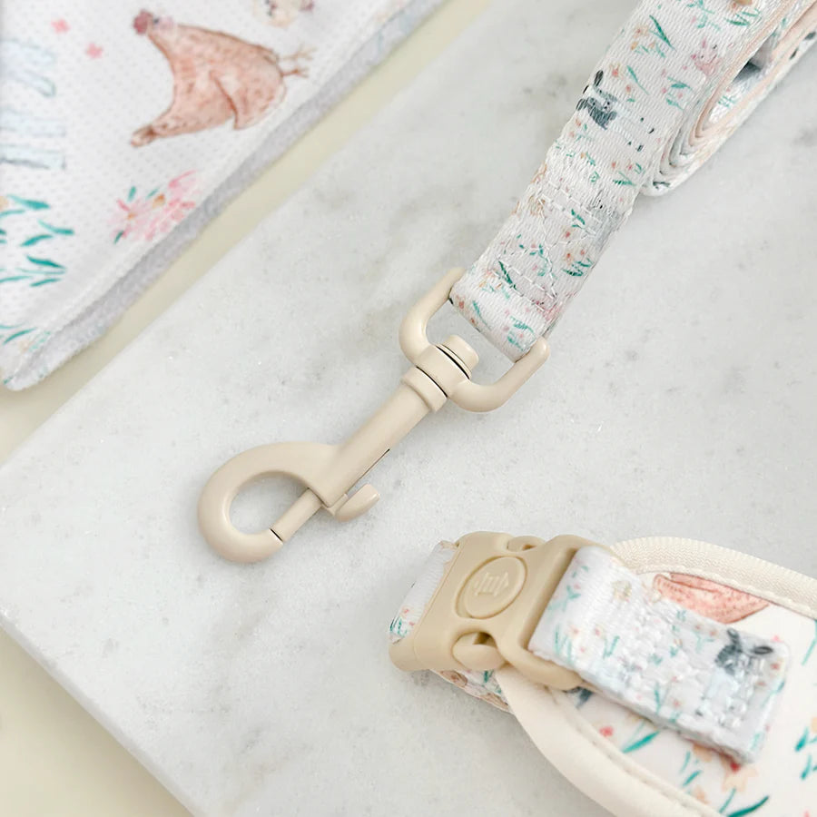 Farmyard Friends Lead