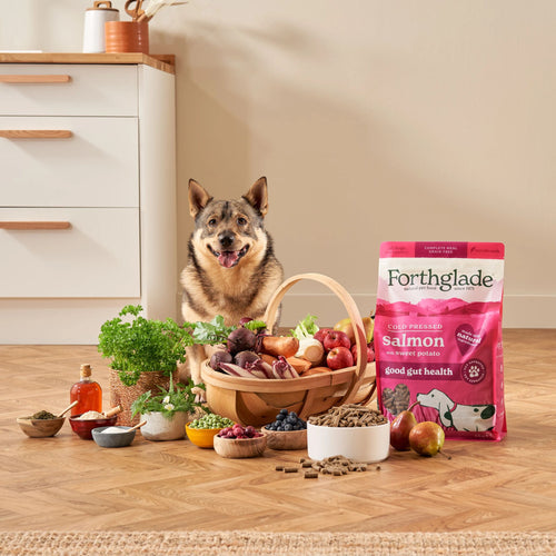 Forthglade Cold Pressed Grain Free Salmon