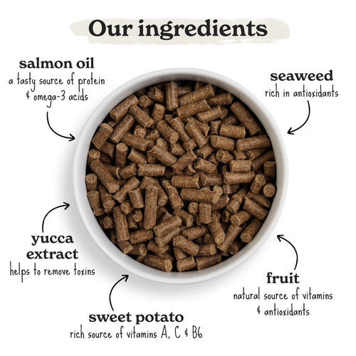 Forthglade Cold Pressed Grain Free Salmon