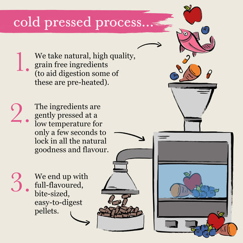 Forthglade Cold Pressed Grain Free Salmon