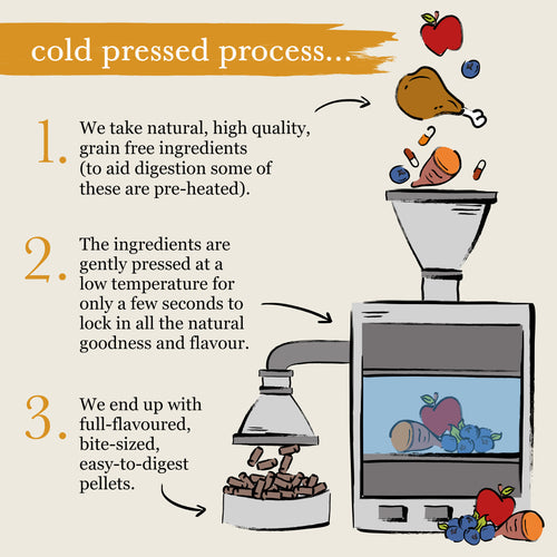 Forthglade Cold Pressed Grain Free Turkey