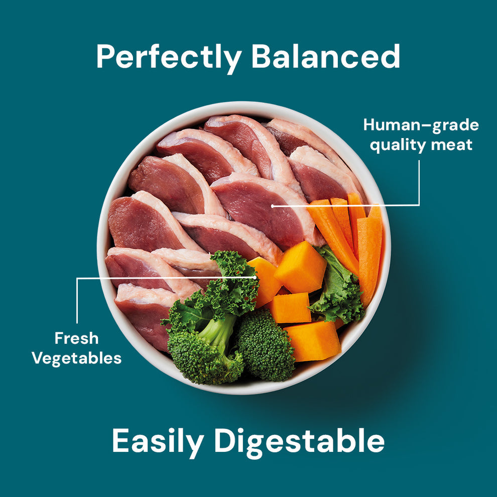 Nutriment Raw Duck