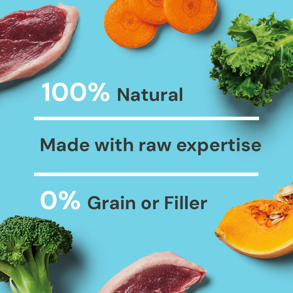 Nutriment Raw Duck