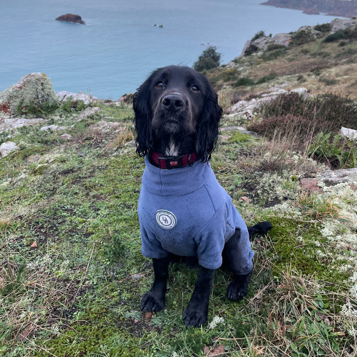 Starlit Meadow Fleece Suit