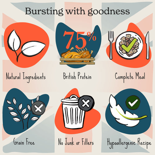 Forthglade Complete Adult GF Variety British Classics (Chick/Lamb/Beef) & Veg 12pk