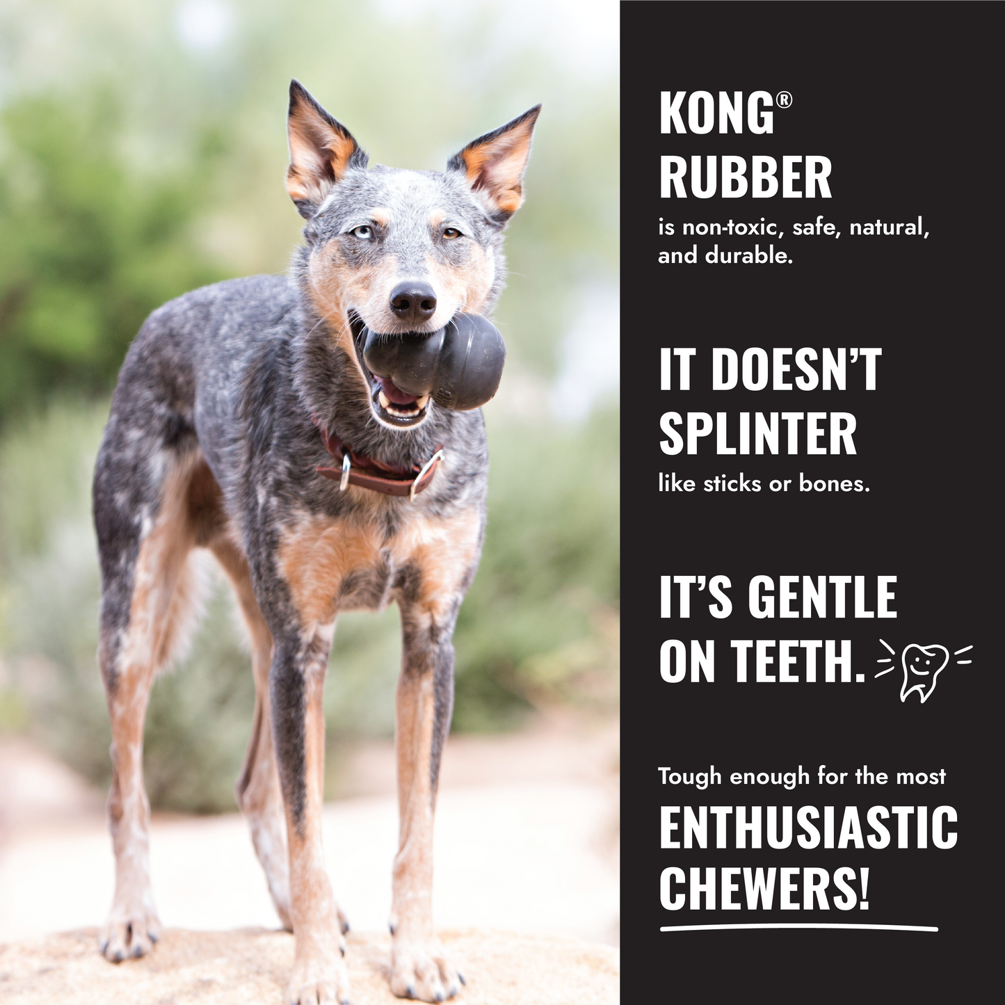 KONG Extreme Black