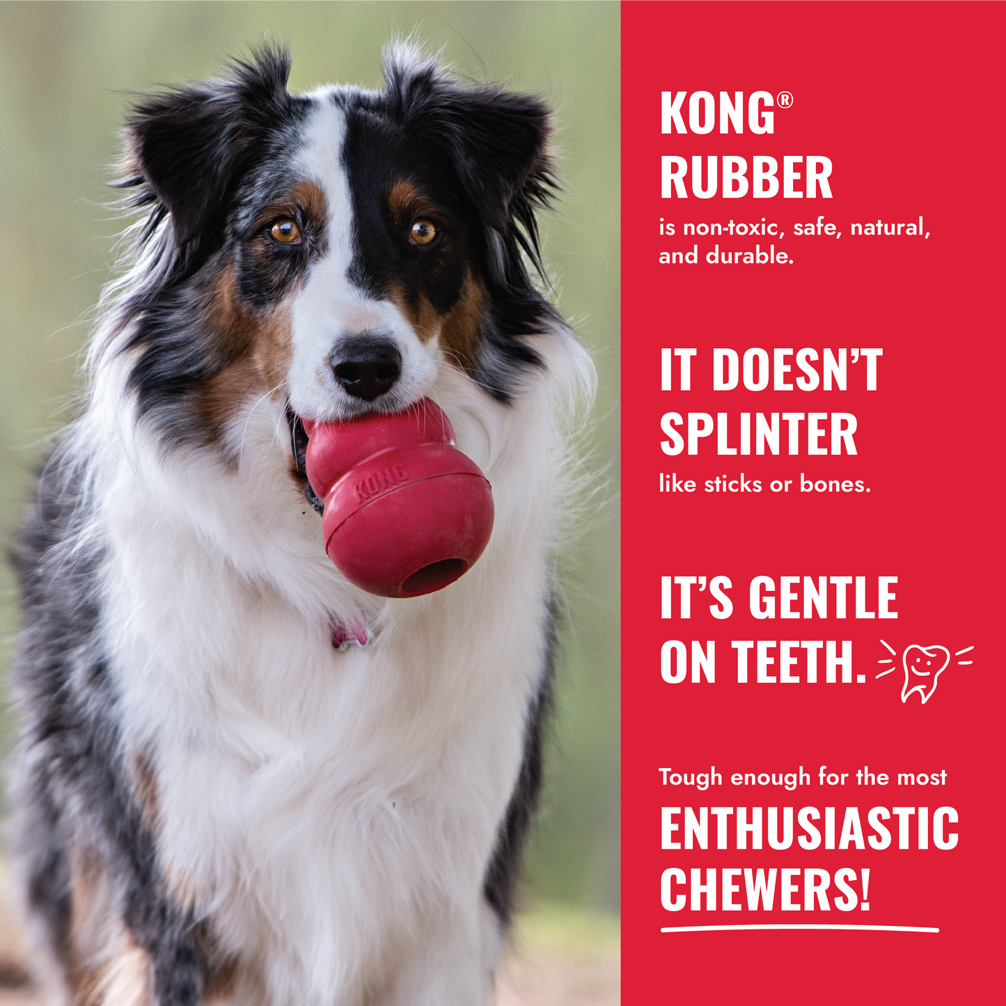 KONG Flyer Frisbee