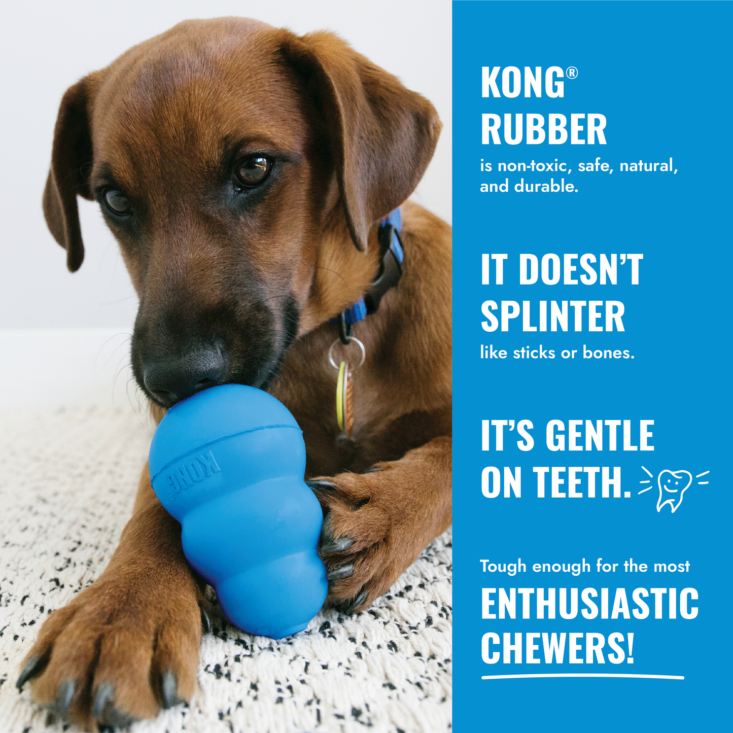 KONG Puppy Flyer