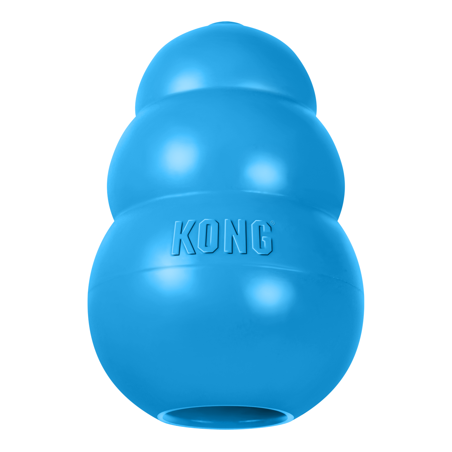 KONG Puppy