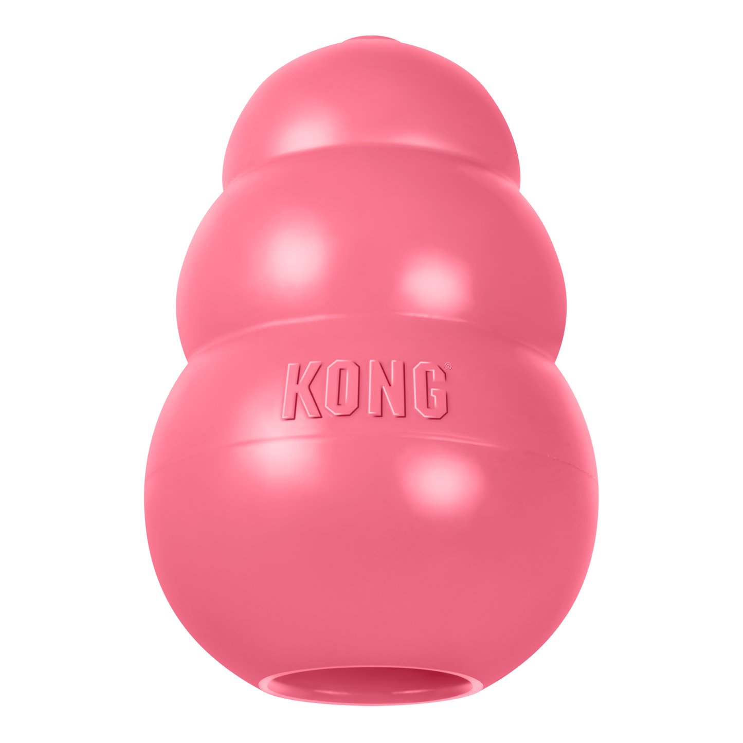 KONG Puppy