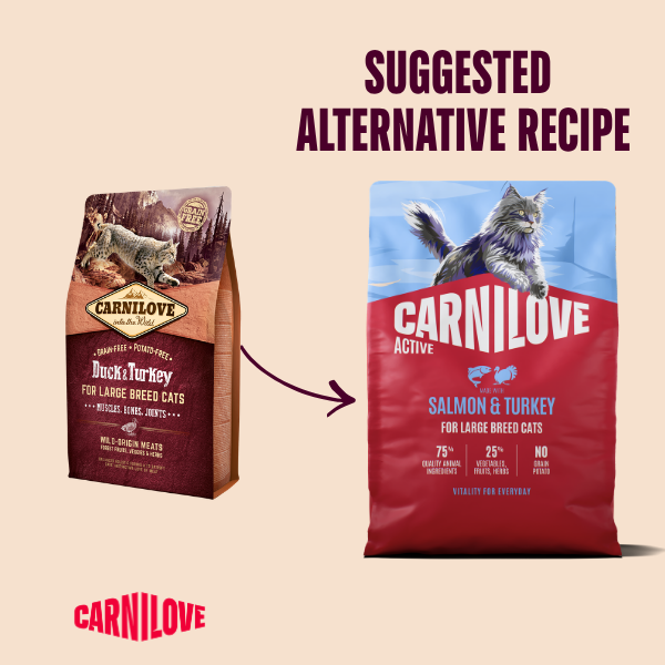 Active Salmon & Turkey Cat Food for Adult Large Breeds