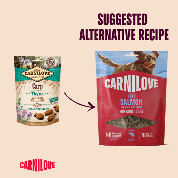 Salmon with Thyme small bite Soft Dog Treats 200g