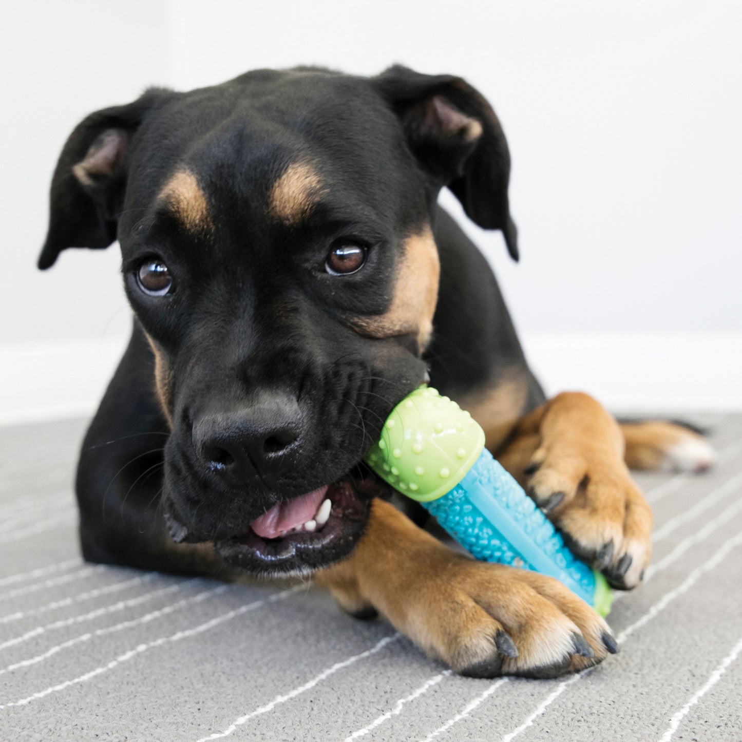 KONG CoreStrength Bone