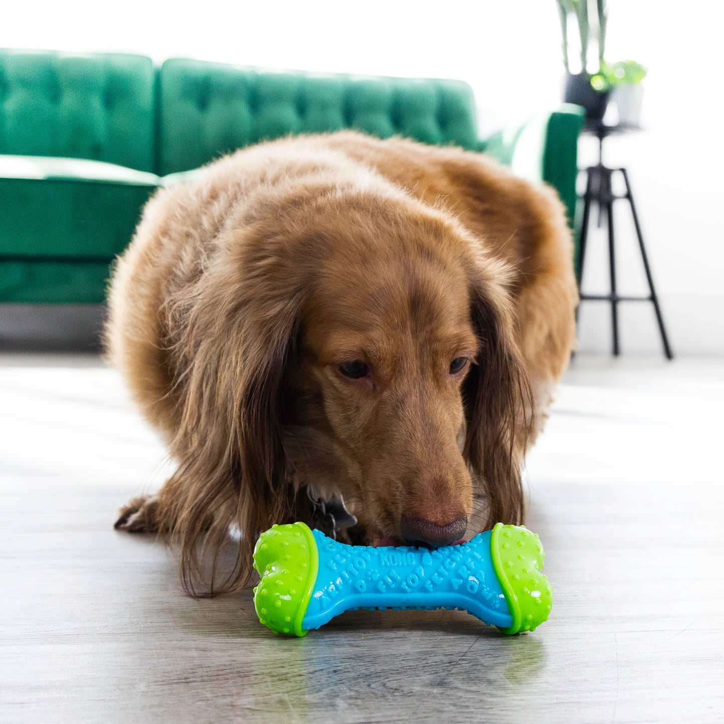 KONG CoreStrength Bone