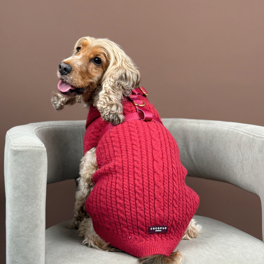 Cocopup Cable Knit Jumper Mulled Wine