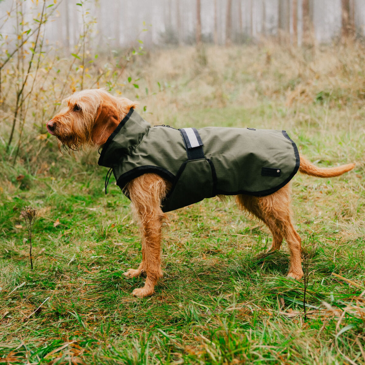 Danish Design 3 in 1 Dog Coat Olive
