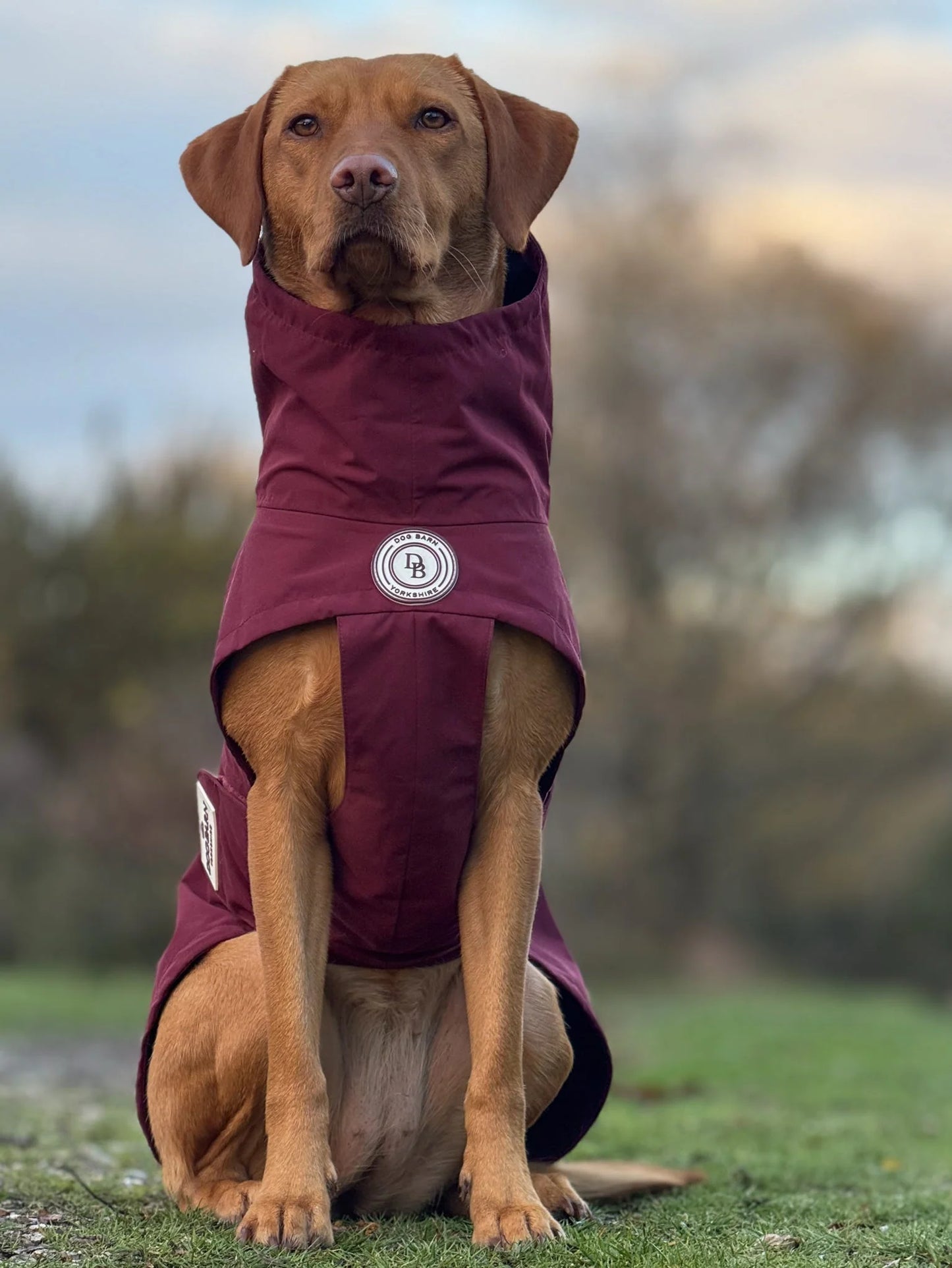 Berry Moors Rain Jacket