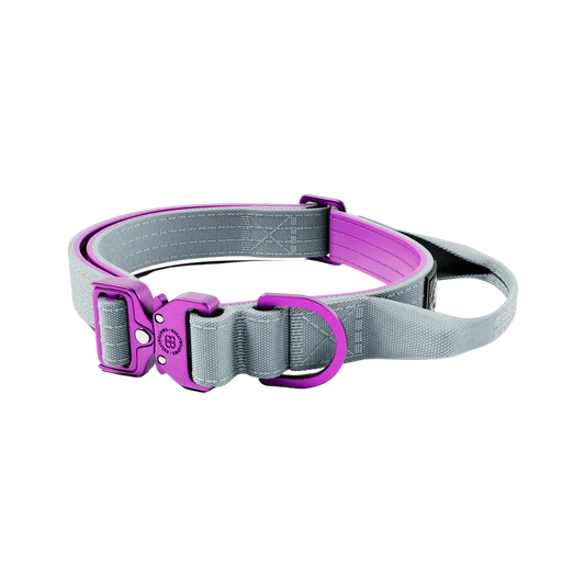 2.5cm Lighter Combat® Collar | Handle & Rated Clip - Purple x Grey