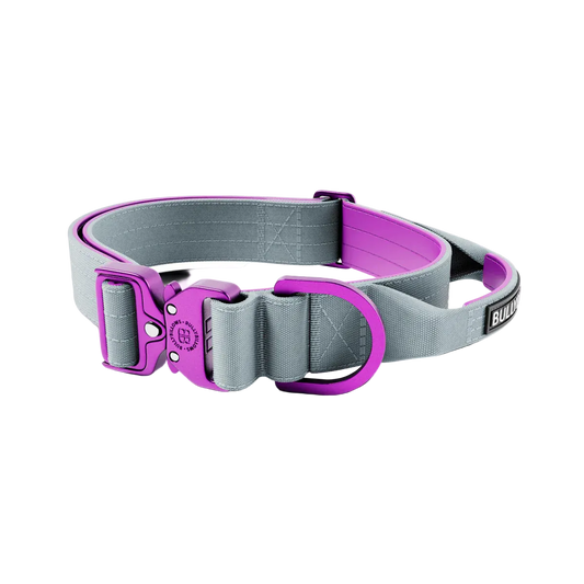 4cm LIGHTER Combat® Collar | With Handle Rated Clip - Purple & Metal Grey