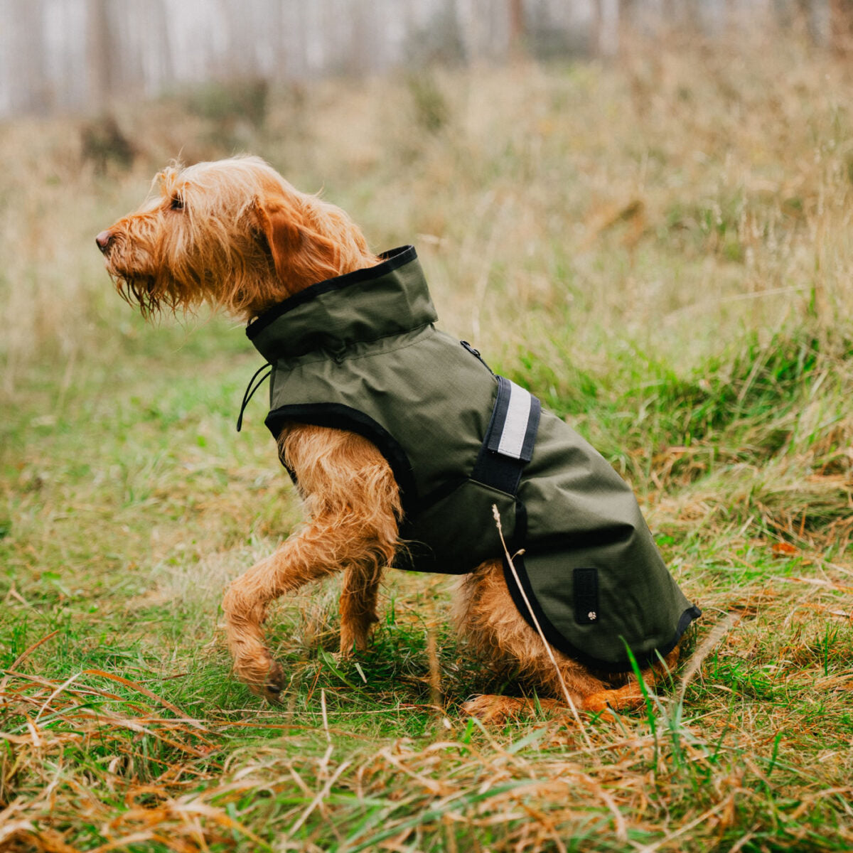 Danish Design 3 in 1 Dog Coat Olive