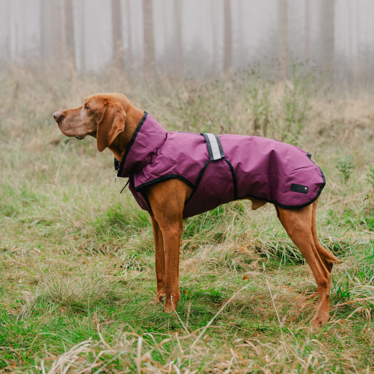 Danish Design 3-In-1 Dog Coat Plum