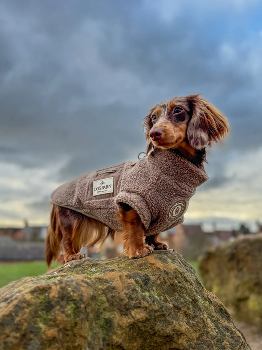 Truffle Dusk Dachshund Sherpa Fleece