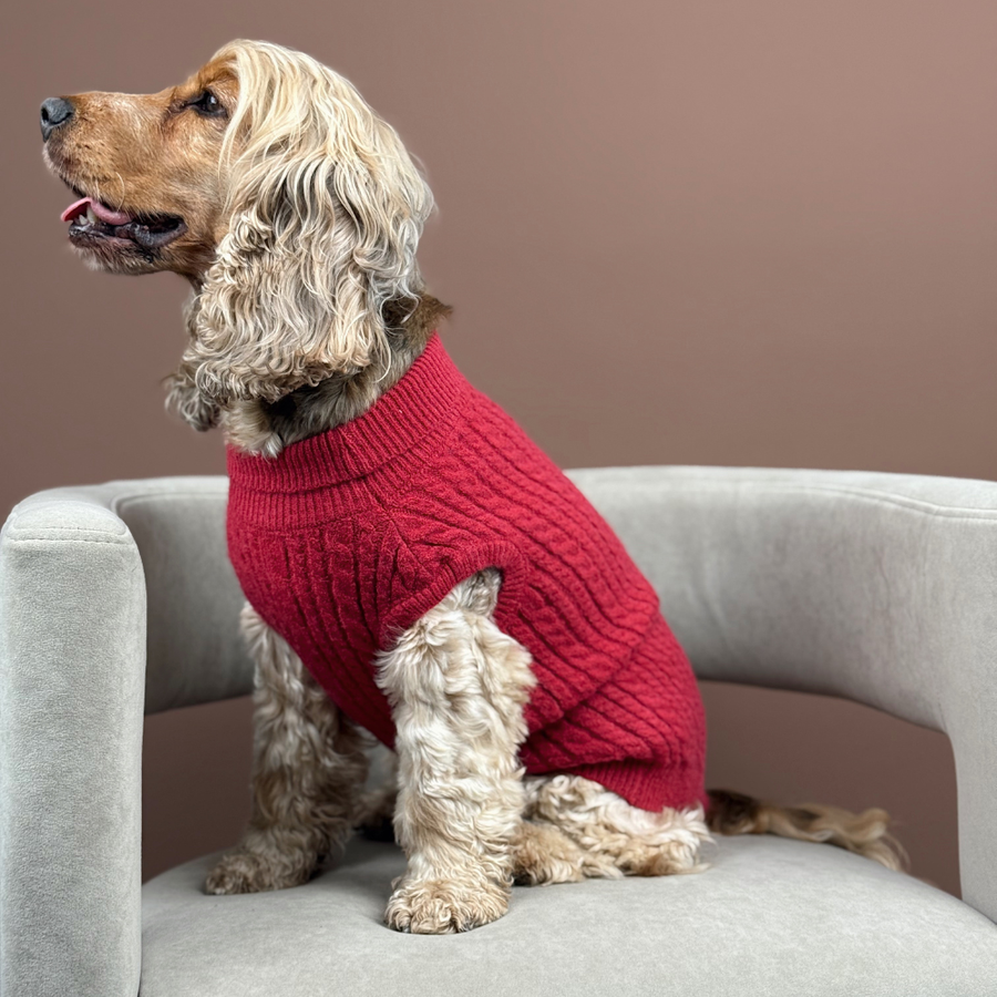 Cocopup Cable Knit Jumper Mulled Wine