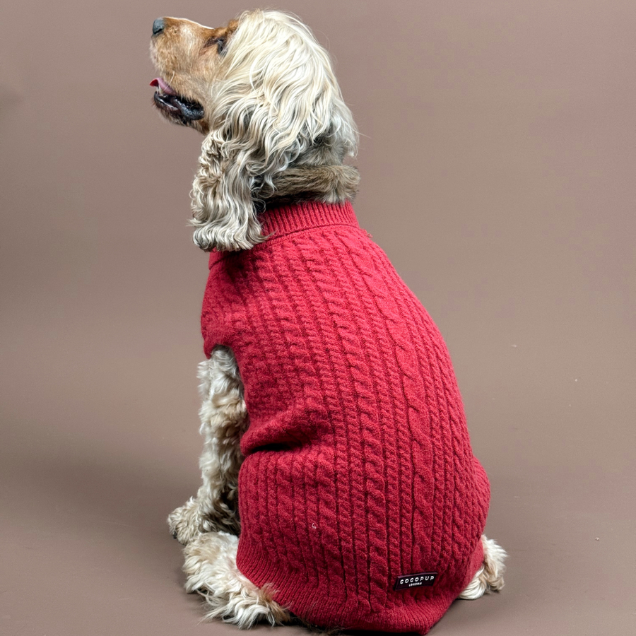 Cocopup Cable Knit Jumper Mulled Wine