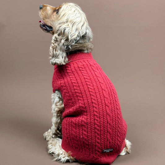 Cocopup Cable Knit Jumper Mulled Wine