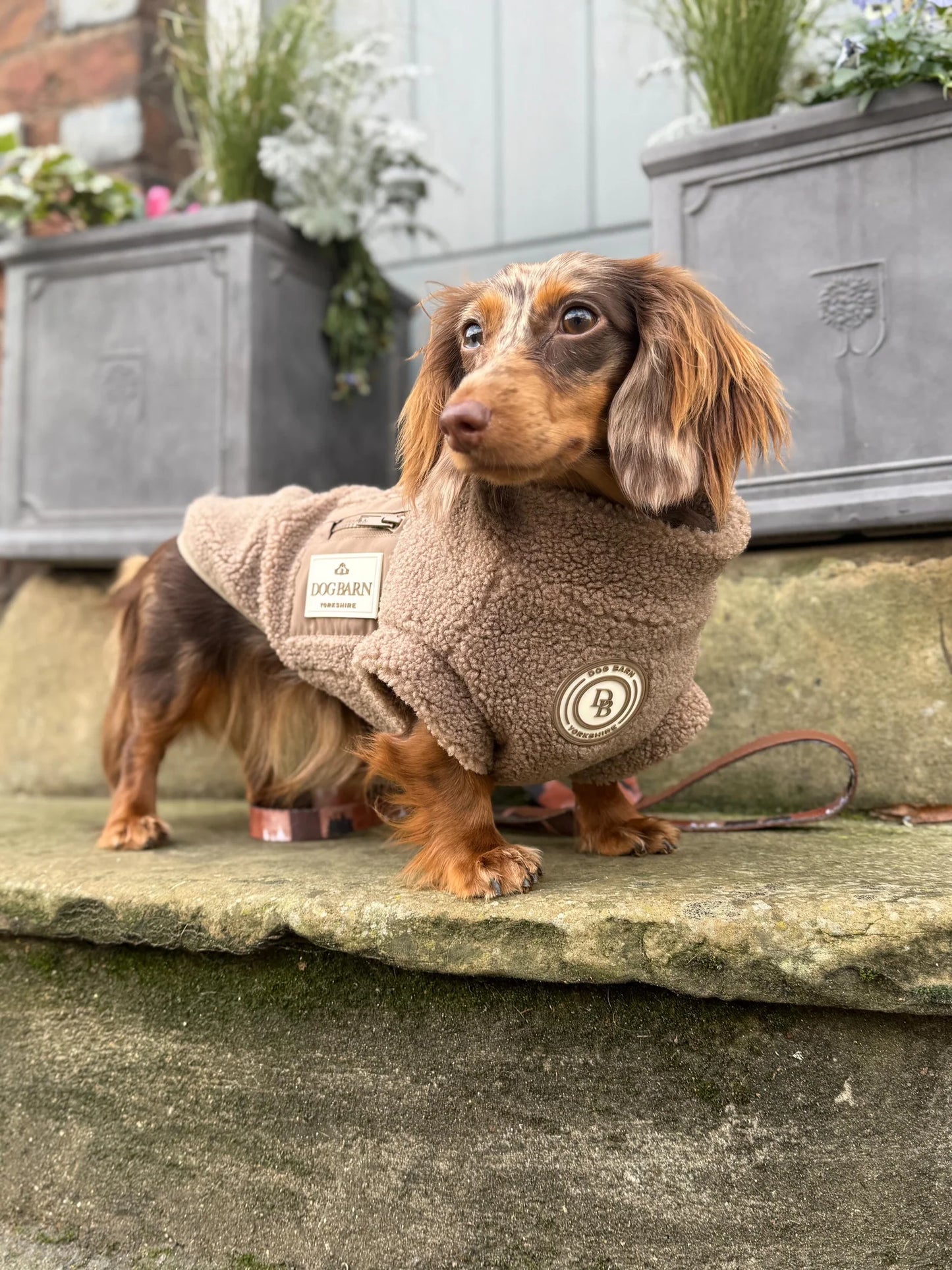 Truffle Dusk Dachshund Sherpa Fleece