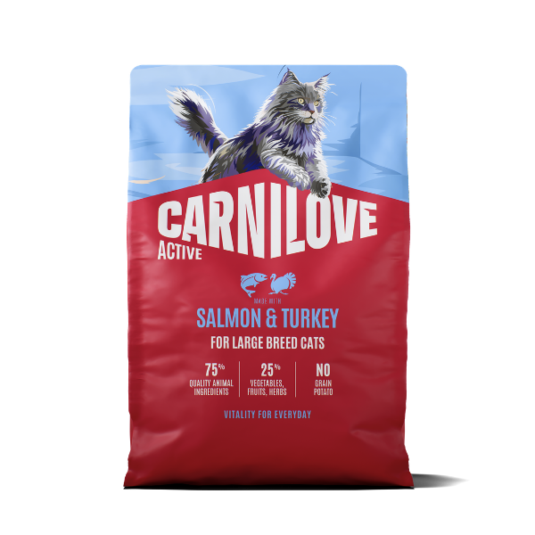 Active Salmon & Turkey Cat Food for Adult Large Breeds