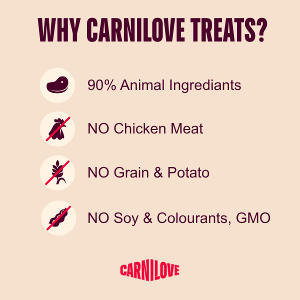 Carnilove Jerky Lamb & Salmon Dog Treat 100g