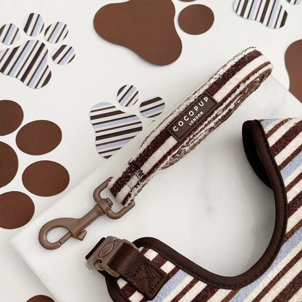 Brown & Blue Stripes Lead