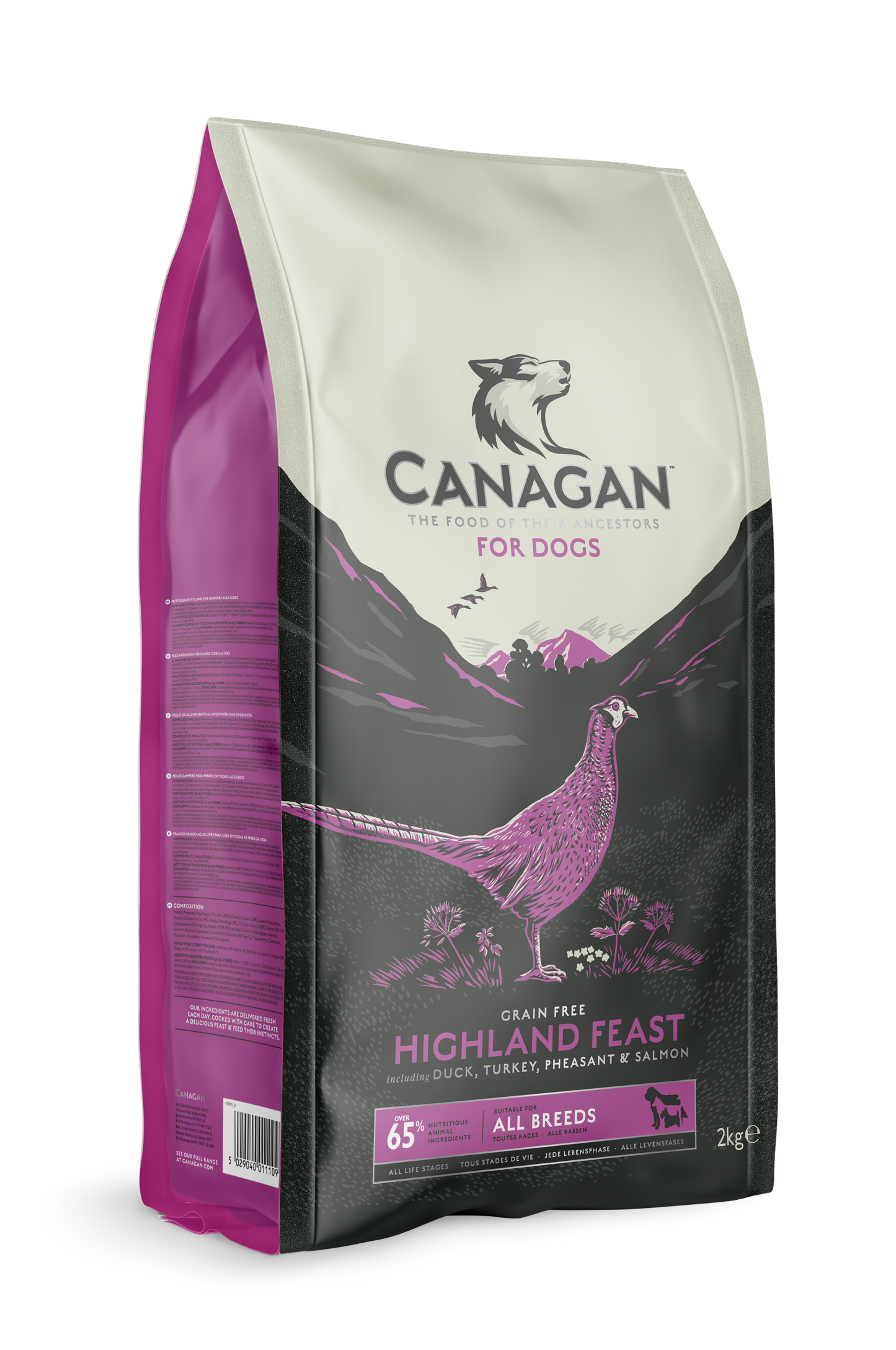 Highland Feast for Dogs