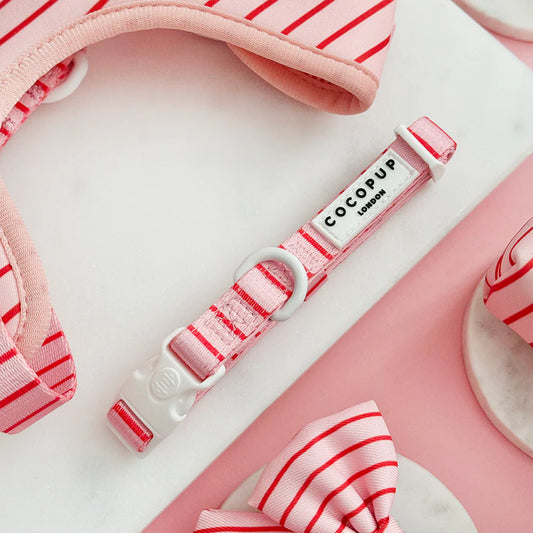 Candy Stripe Collar