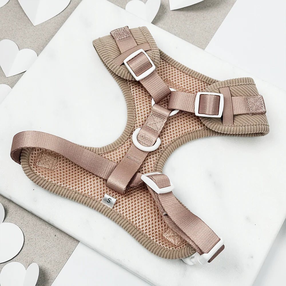 Chai Hearts Adjustable Neck Harness