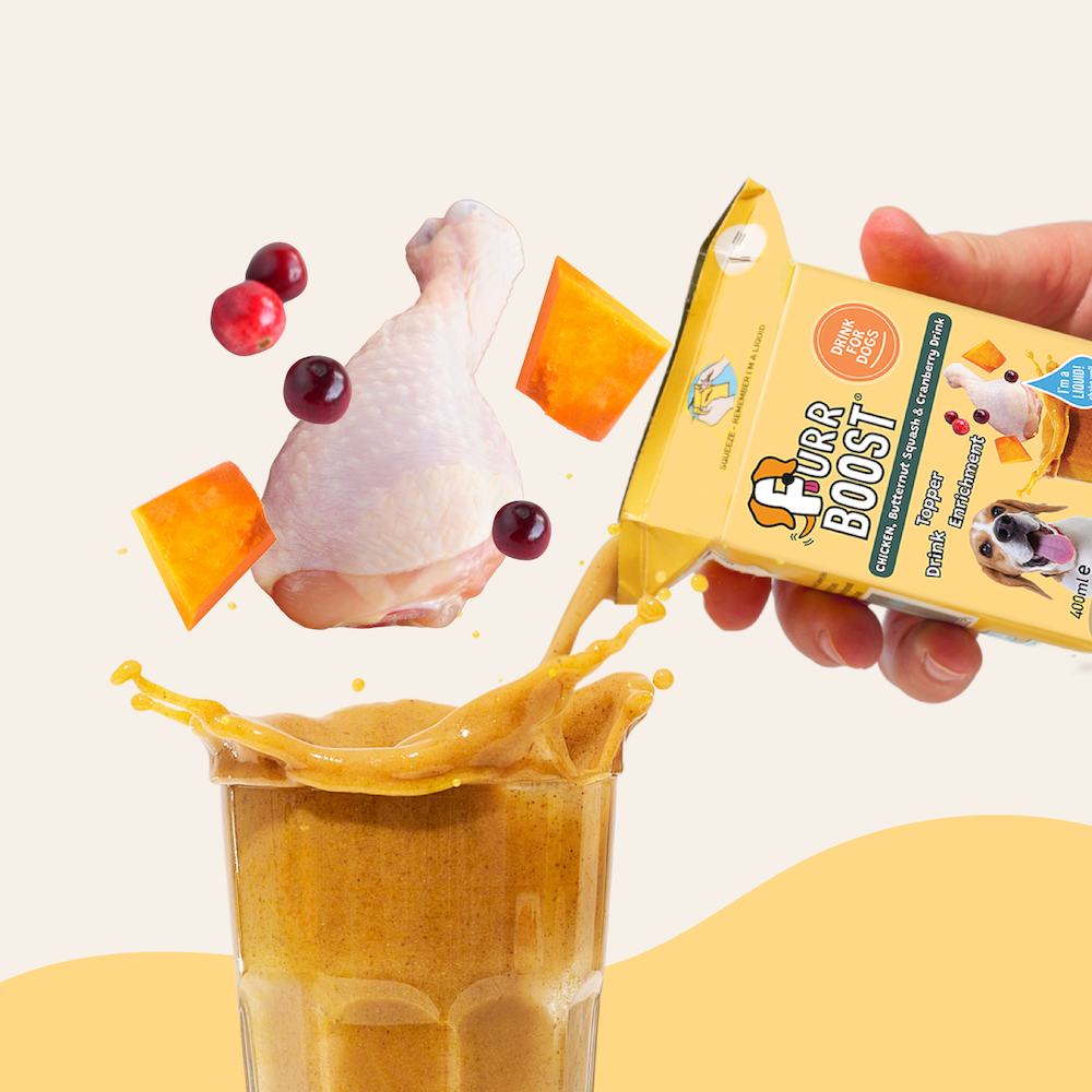 Chicken Butternut Squash and Cranberry Dog Drink 400ml